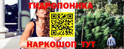 spice Аргун