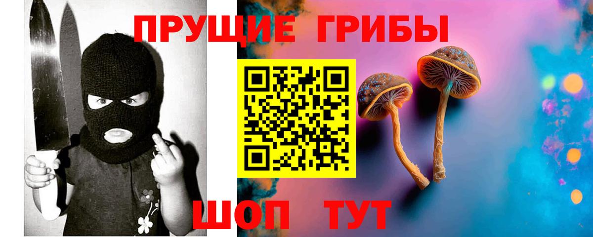 Галлюциногенные грибы Psilocybine cubensis Всеволожск
